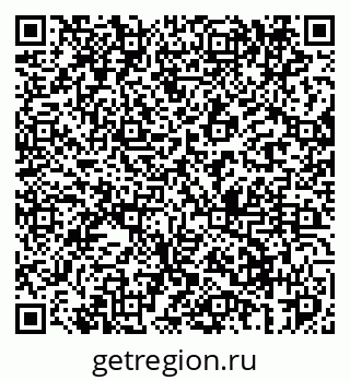 79061966341