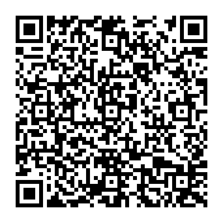 79061980832