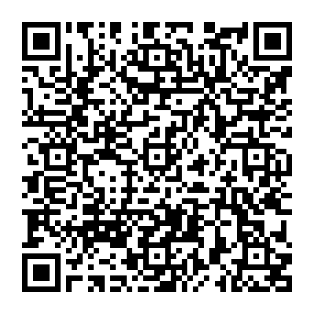 79061981241