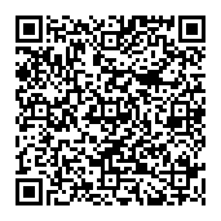 79061981558