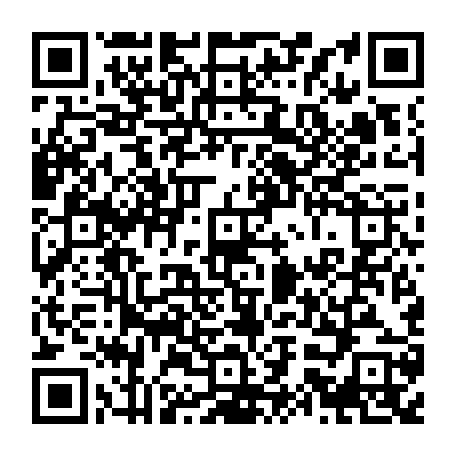 79061981611