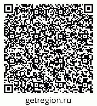 79062005341