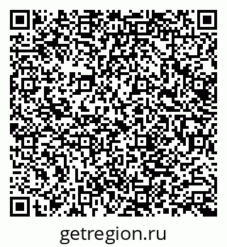 79062005541