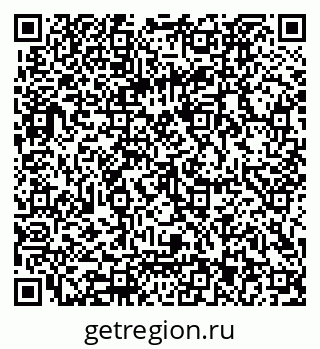 79062023981