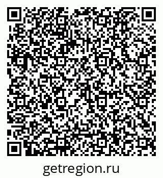 79062024381