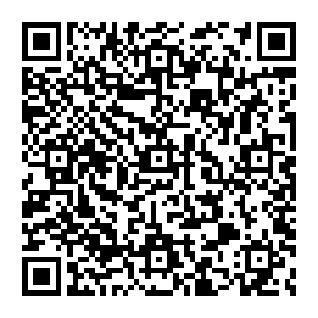 79062061293