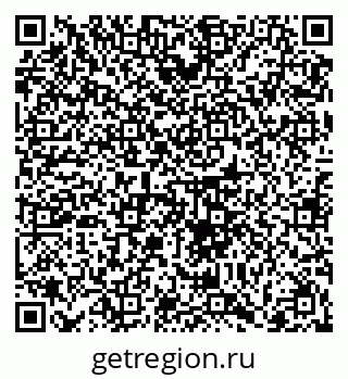 79062204981