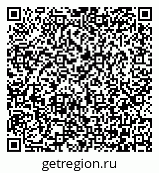 79062205955