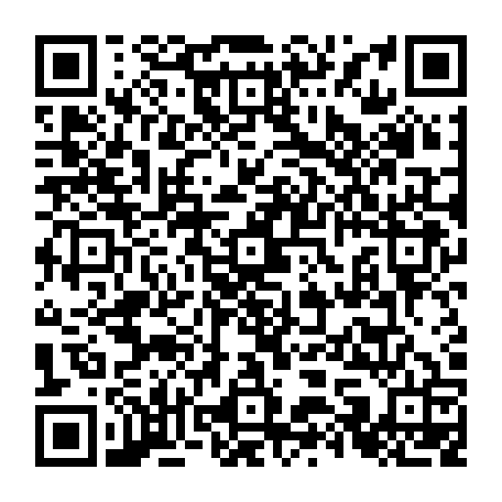 79062397954