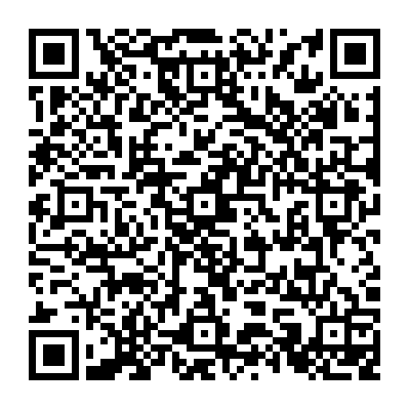 79062397955