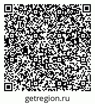 79063004081