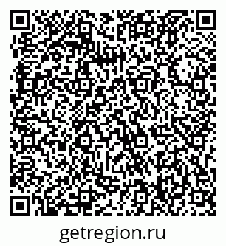79063328381