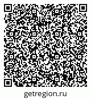 79063335828