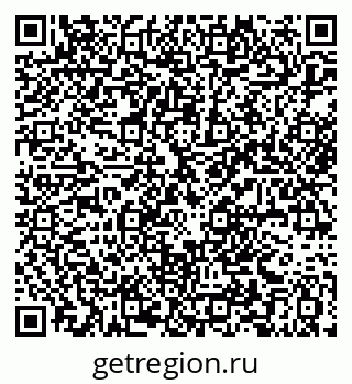 79063355981
