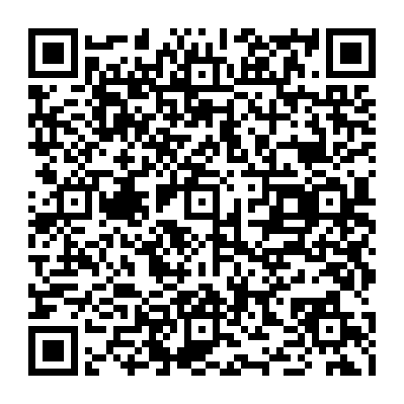 79063700653