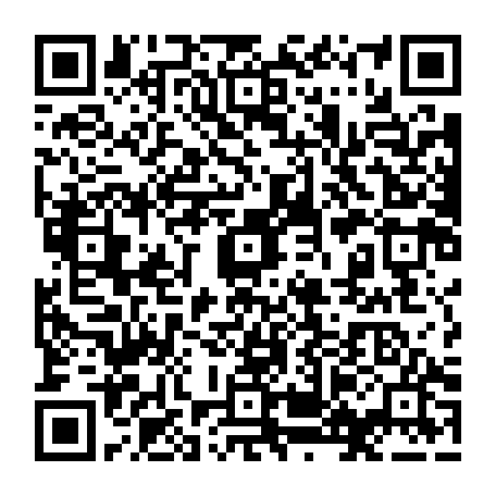 79063704133
