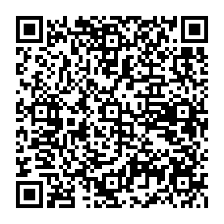 79063800804