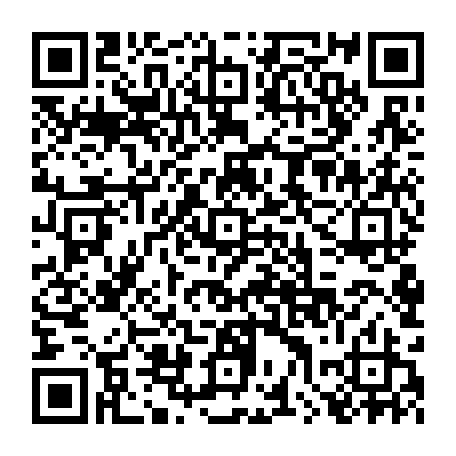 79063800954