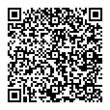 79063803681