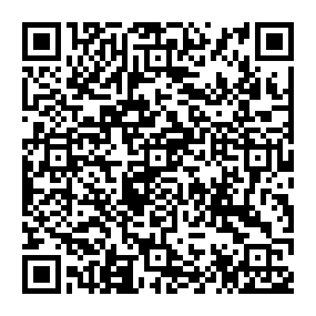 79063803881