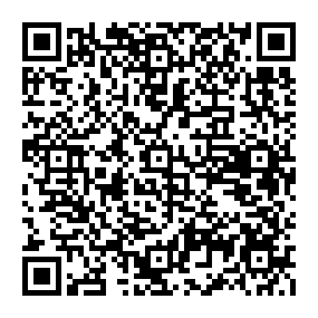 79063898305
