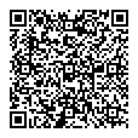 79064004537