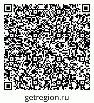 79064428384