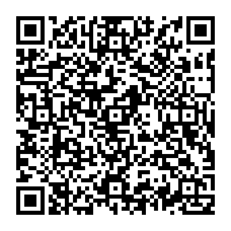 79064429955