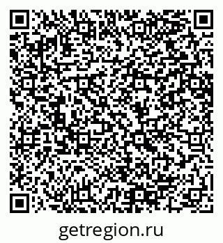 79064600558
