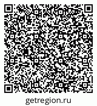 79064615558