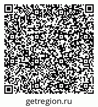 79064618381