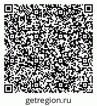 79064658202