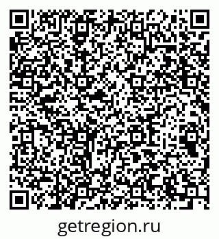 79064659558