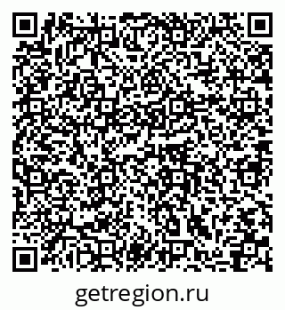 79064866081