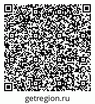 79064866141