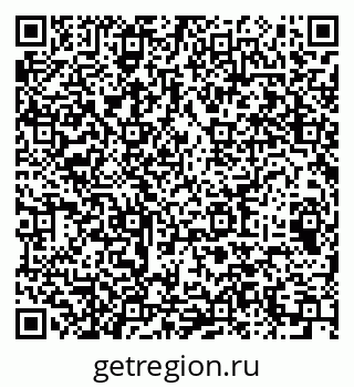 79064911381