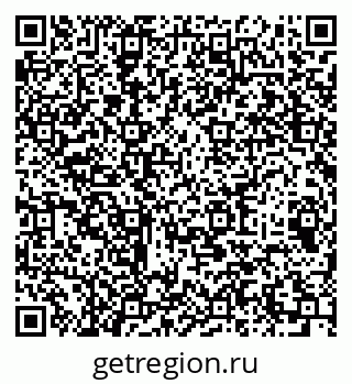79064919541