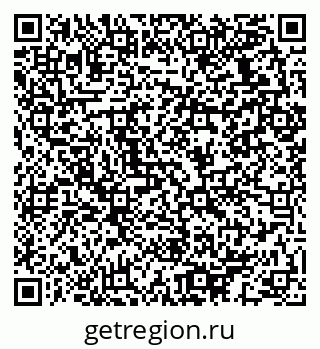 79064933858