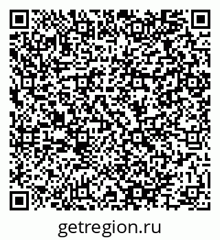 79064965381