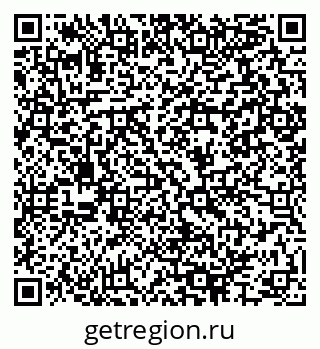 79064995081
