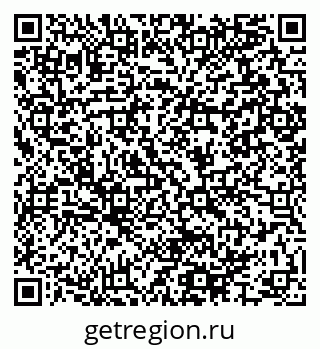 79064995202