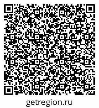 79065004076