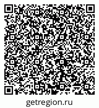 79065004081