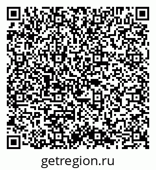 79065006600