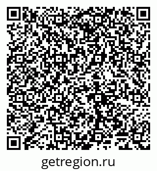 79065009528
