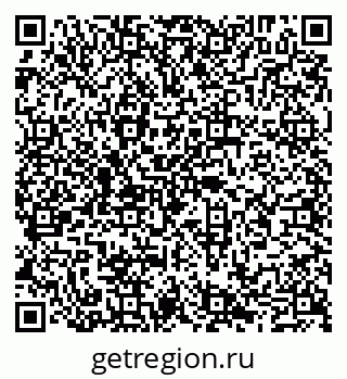 79065028381