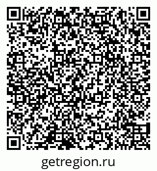 79065040205