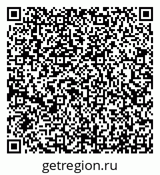 79065041493