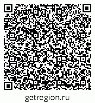 79065100804