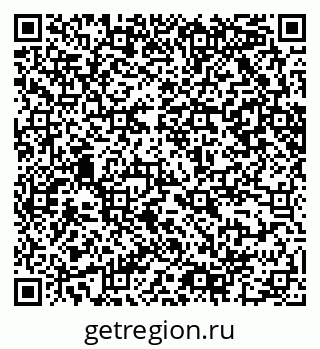 79065202409